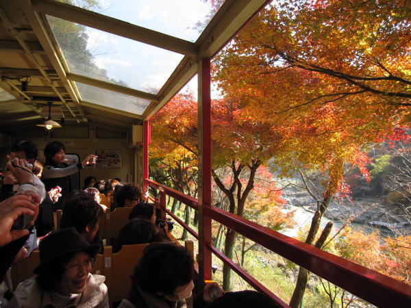 嵯峨野トロッコ列車　保津川　紅葉が美しい