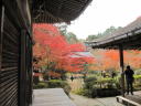京都　西明寺